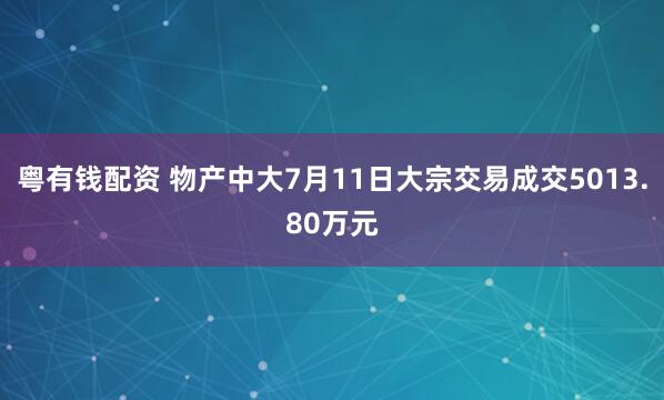 粤有钱配资 物产中大7月11日大宗交易成交5013.80万元