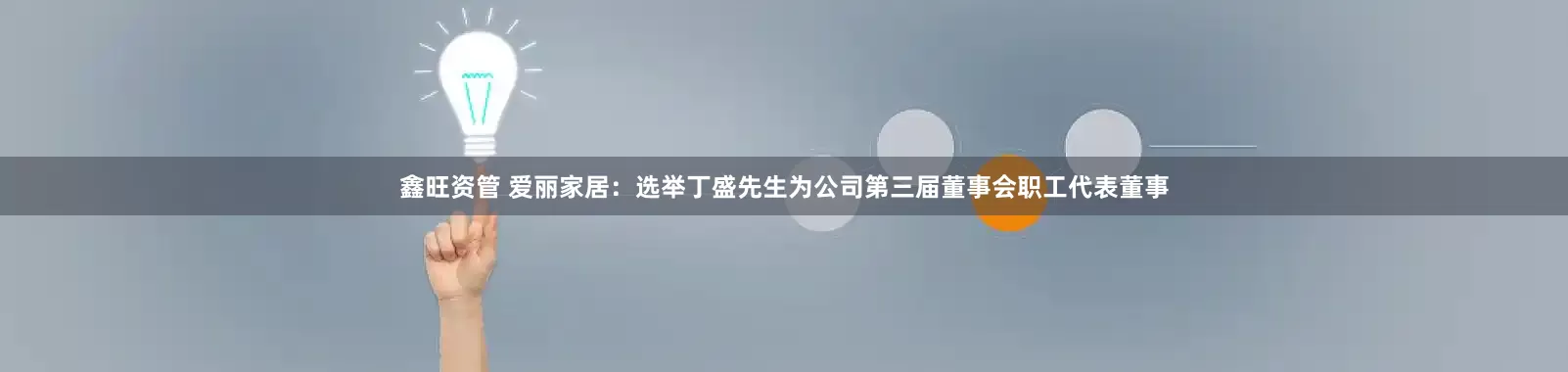 鑫旺资管 爱丽家居：选举丁盛先生为公司第三届董事会职工代表董事